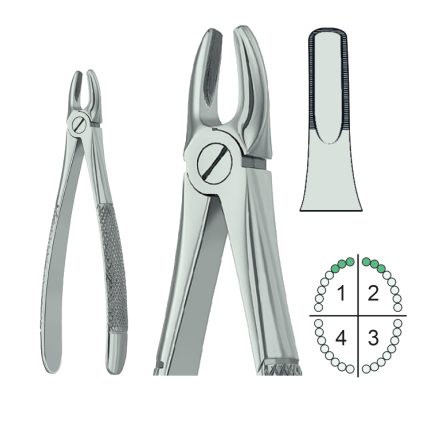 Extracting Forceps English Pattern Fig.1