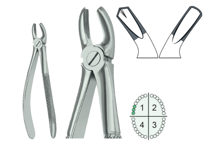 Extracting Forceps English Pattern Fig.17