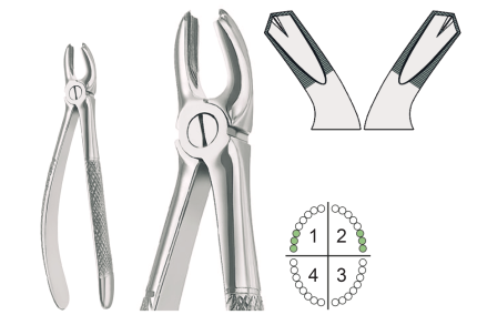 Extracting Forceps English Pattern Fig.18A