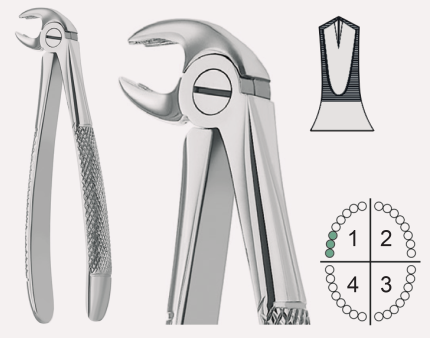 Extracting Forceps English Pattern Fig.22