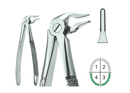 Extracting Forceps English Pattern Fig333S