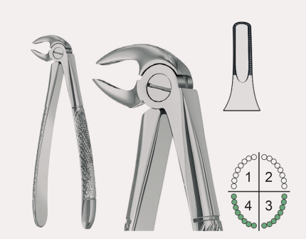Extracting Forceps English Pattern Fig.33C