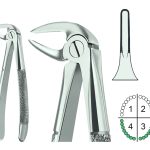 Extracting Forceps English Pattern Fig.33M