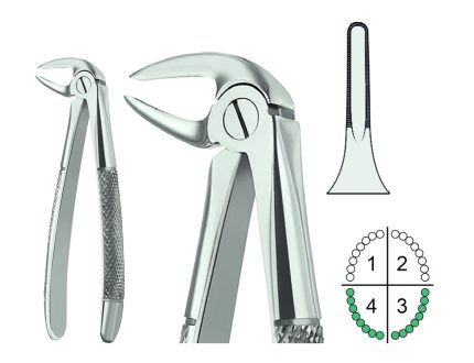 Extracting Forceps English Pattern Fig.33M