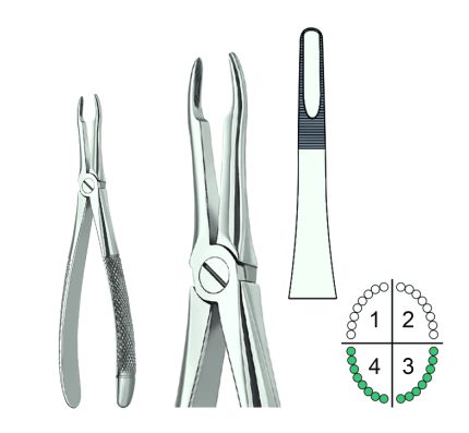 Extracting Forceps English Pattern Fig.41