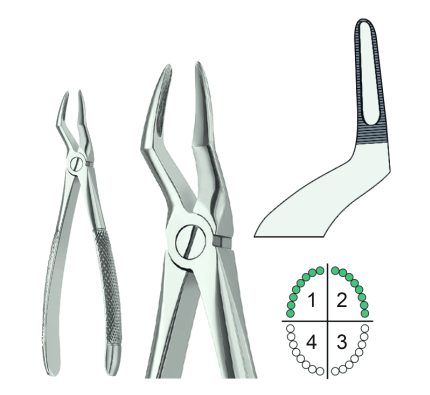 Extracting Forceps English Pattern Fig.51A