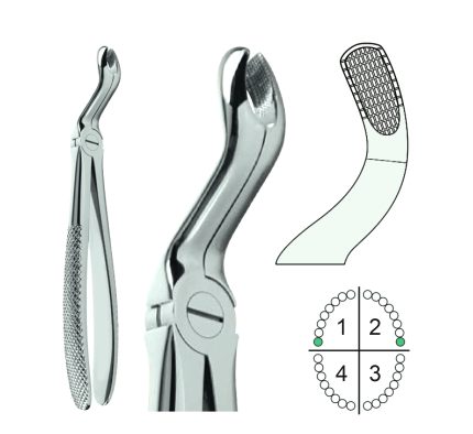Extracting Forceps English Pattern Fig.67A