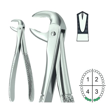 Extracting Forceps English Pattern Fig.73