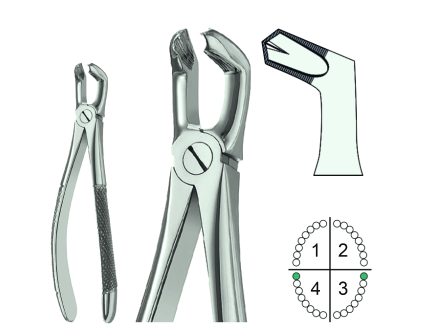 Extracting Forceps English Pattern Fig.79