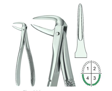 Extracting Forceps English Pattern Fig.233