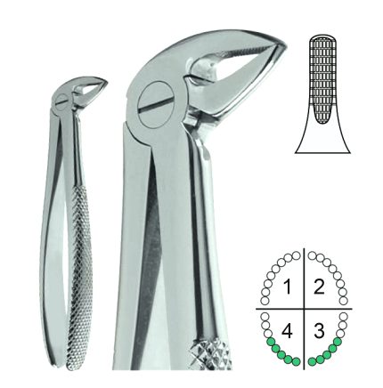 Extracting Forceps English Pattern Fig.33