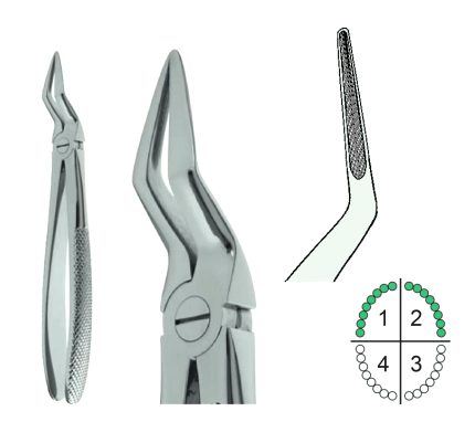 Extracting Forceps English Pattern Fig51AL