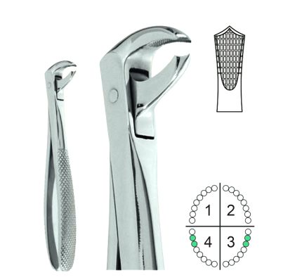 Extracting Forceps English Pattern Fig.73S