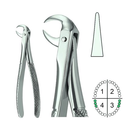 Extracting Forceps English Pattern Fig.86A