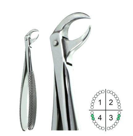 Extracting Forceps English Pattern Fig.86S
