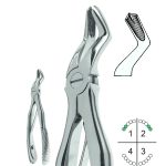 Extracting Forceps For Children English Pattern Klein Fig.3