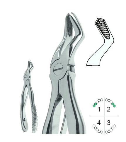 Extracting Forceps For Children English Pattern Klein Fig.3
