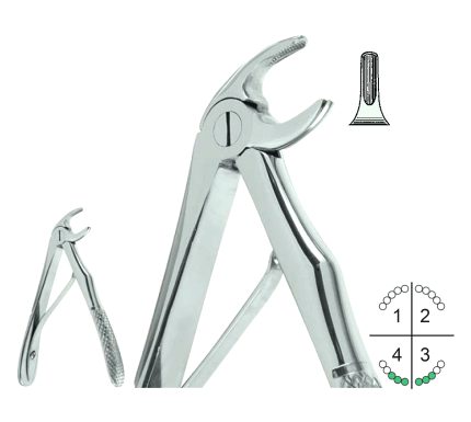 Extracting Forceps For Children English Pattern Klein Fig.5