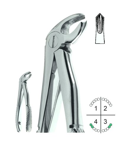 Extracting Forceps For Children English Pattern Klein Fig.6