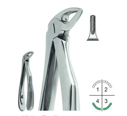 Extracting Forceps For Children English Pattern Klein Fig.7