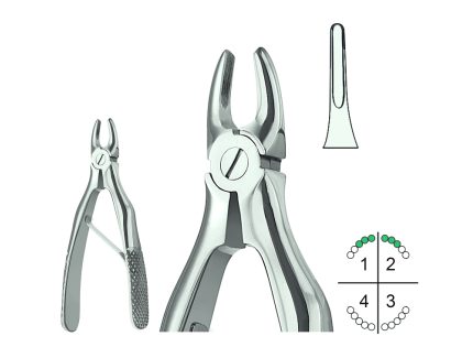 Extracting Forceps For Children English Pattern Klein Fig.137