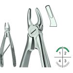 Extracting Forceps For Children English Pattern Klein Fig.139