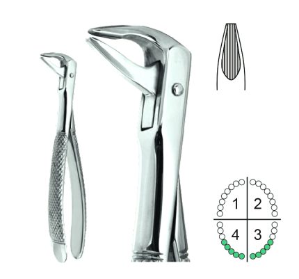 Extracting Forceps English Pattern Fig74XN