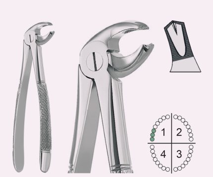 Extracting Forceps English Pattern Fig.23