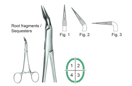 Root Splinter Forceps Stieglitz Angled Fig3