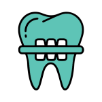 Dental Matrices