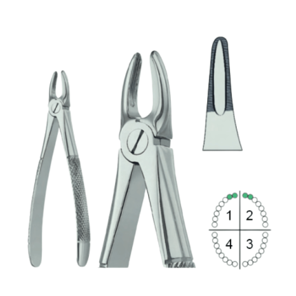 Extracting Forceps English Pattern Fig.29