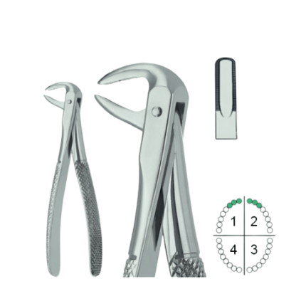Extracting Forceps English Pattern Fig.74