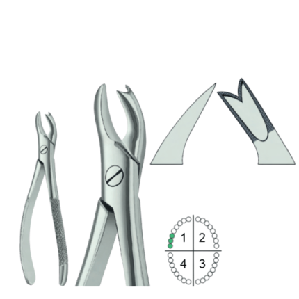 Extracting Forceps English Pattern Fig.89