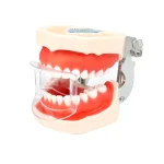 DENTAL RETRACTOR ANTERIOR 1PC