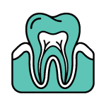 Periodontal