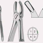 Extracting Forceps English Pattern Fig.18