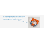 Nickel-titanium Clamping Ring SC0207L - Image 3